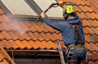 Démoussage et hydrofuge de toiture à Millebosc